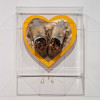 Dolce cuore